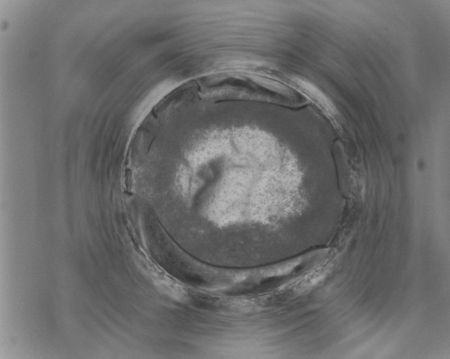 X0000073890948200609082119