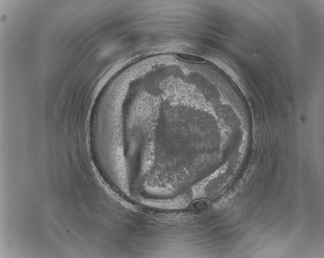 X0000073890949200609082119