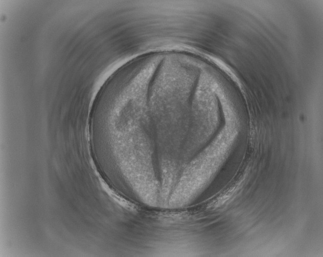 X0000073890951200609082119