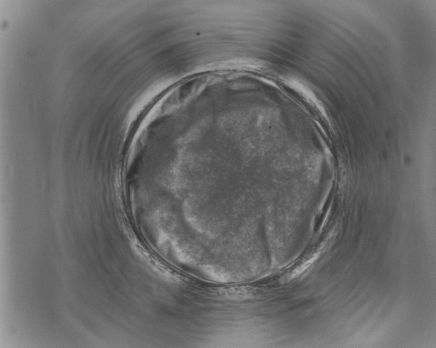 X0000073890952200609082119