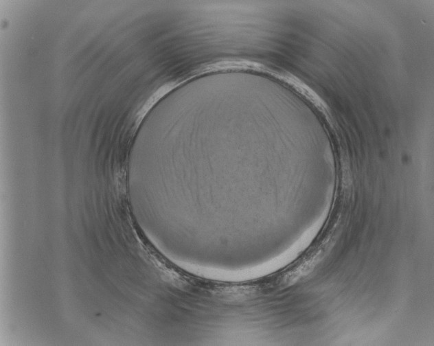 X0000073890953200609082119