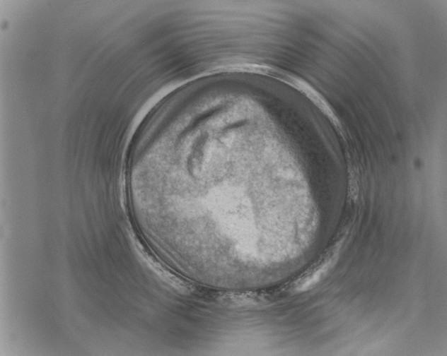 X0000073890955200609082119