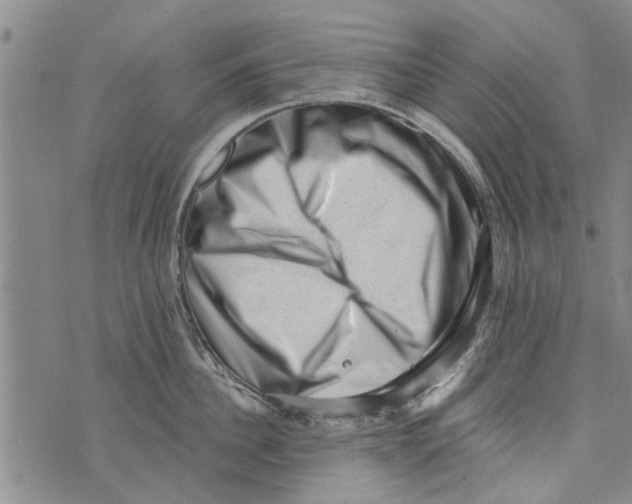 X0000073890956200609082119