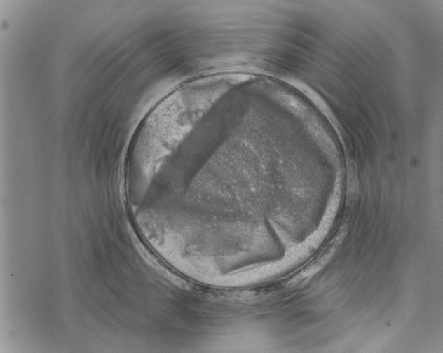 X0000073890957200609082119