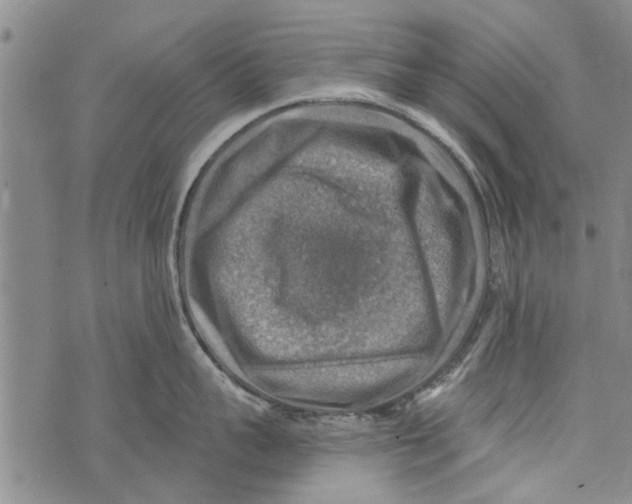 X0000073890959200609082119