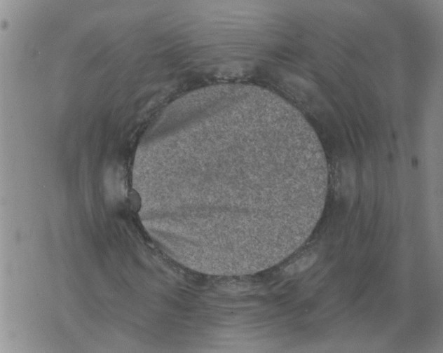 X0000073890962200609082119