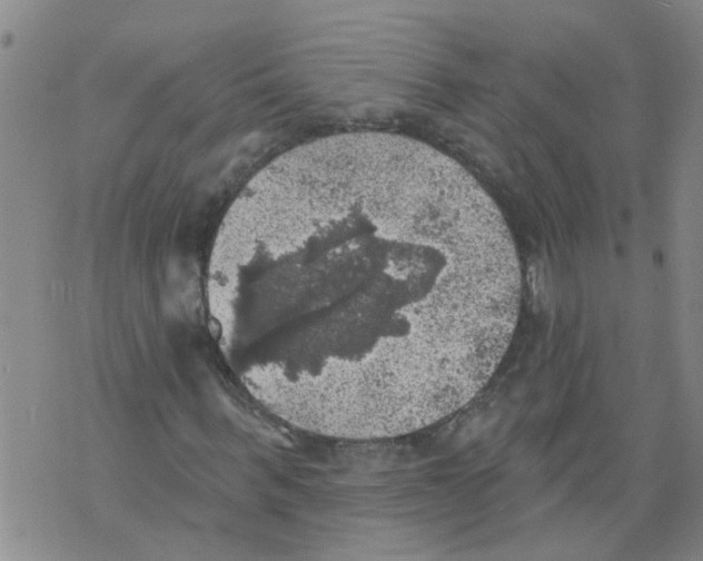 X0000073890963200609082119