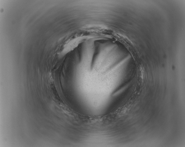 X0000073890965200609082119