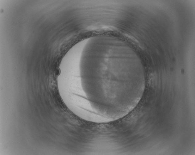 X0000073890966200609082119