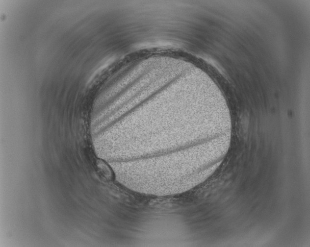 X0000073890967200609082119