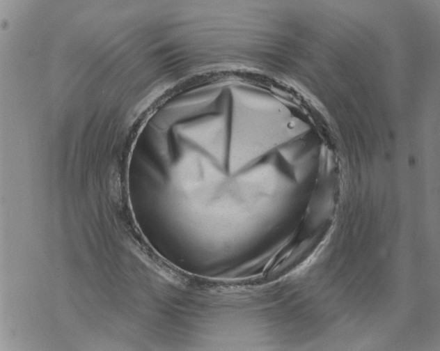 X0000073890969200609082119