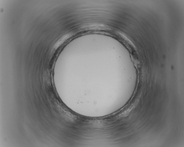 X0000073890970200609082119