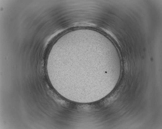 X0000073890971200609082119