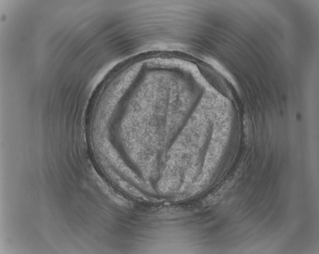 X0000073890972200609082119