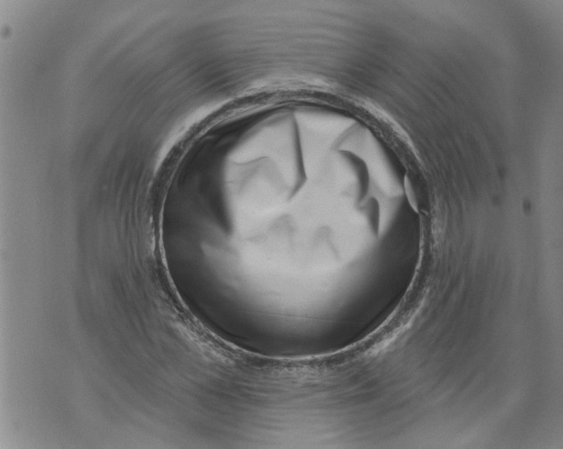 X0000073890973200609082118