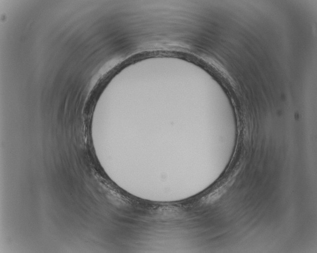 X0000073890974200609082118