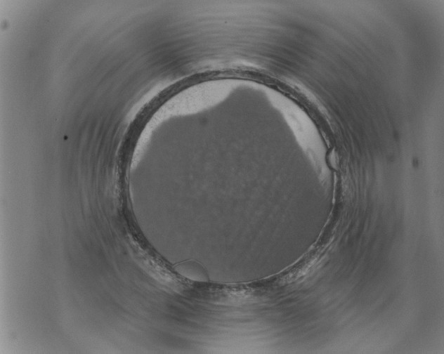 X0000073890975200609082118