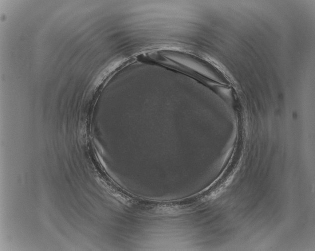 X0000073890977200609082118