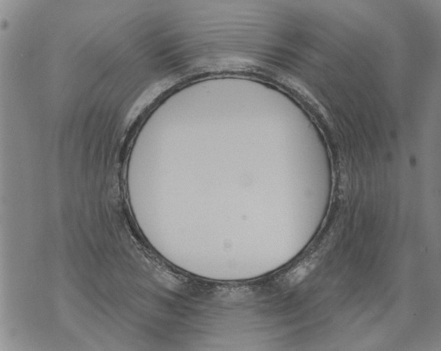 X0000073890978200609082118