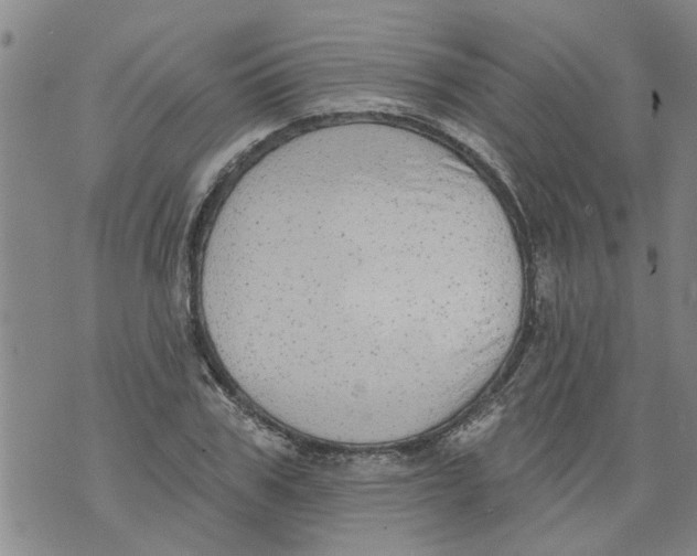 X0000073890979200609082118