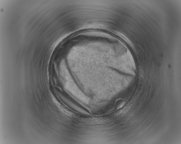 X0000073890980200609082118