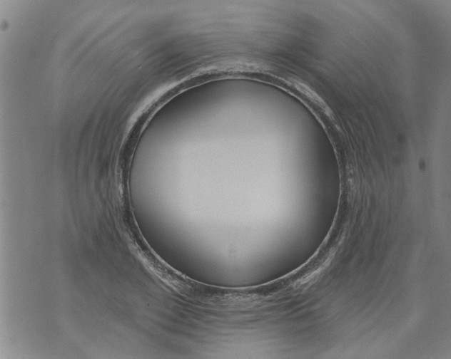 X0000073890981200609082118