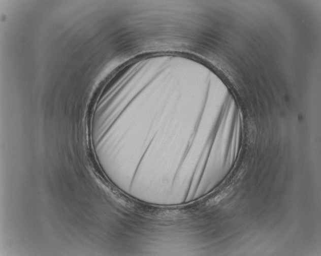 X0000073890982200609082118