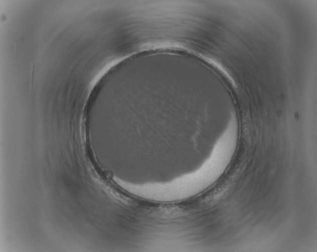 X0000073890983200609082118