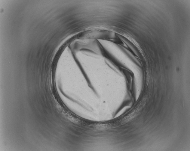 X0000073890984200609082118