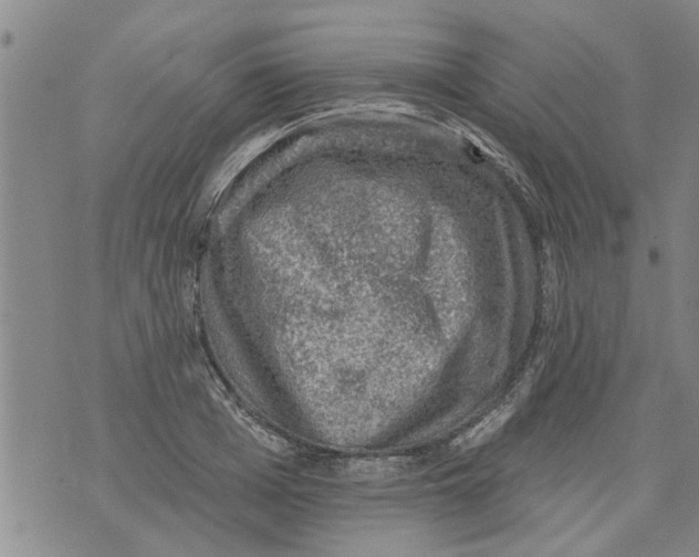 X0000073890985200609082118