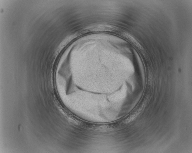 X0000073890986200609082118