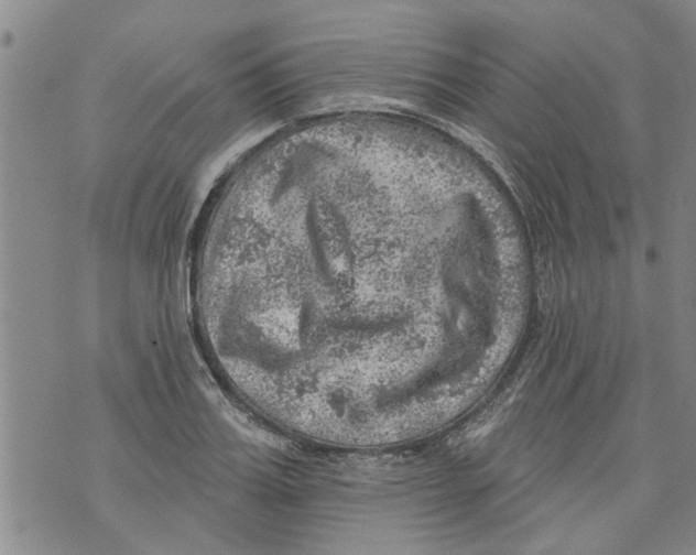 X0000073890987200609082118