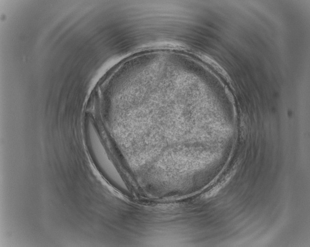 X0000073890989200609082118