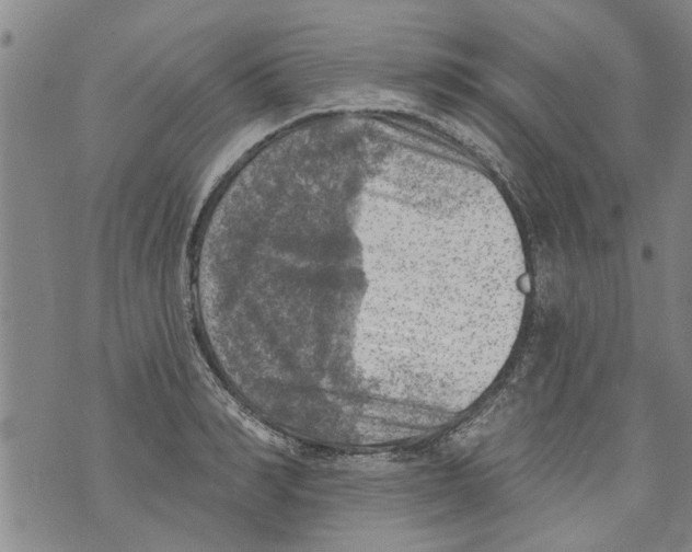 X0000073890990200609082118