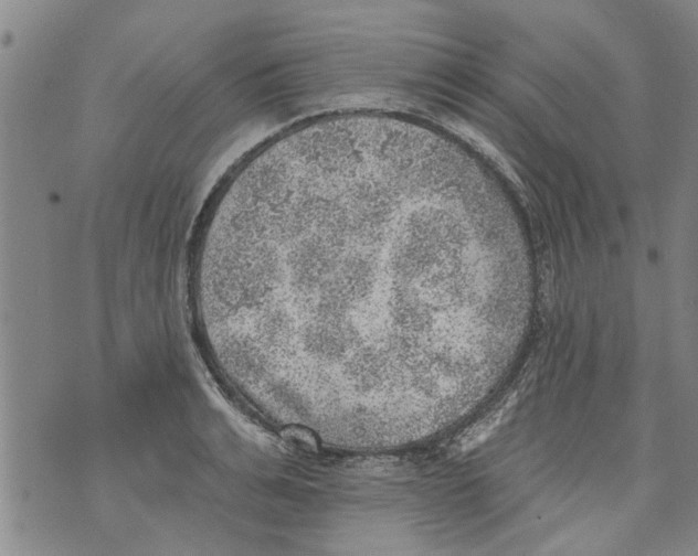 X0000073890991200609082118