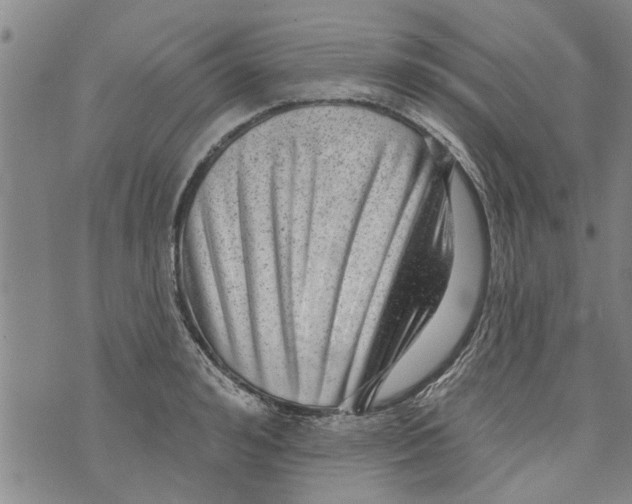 X0000073890992200609082118