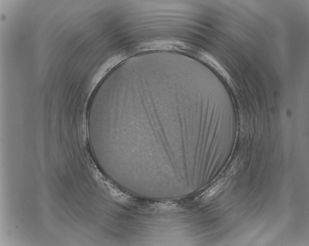 X0000073890994200609082118