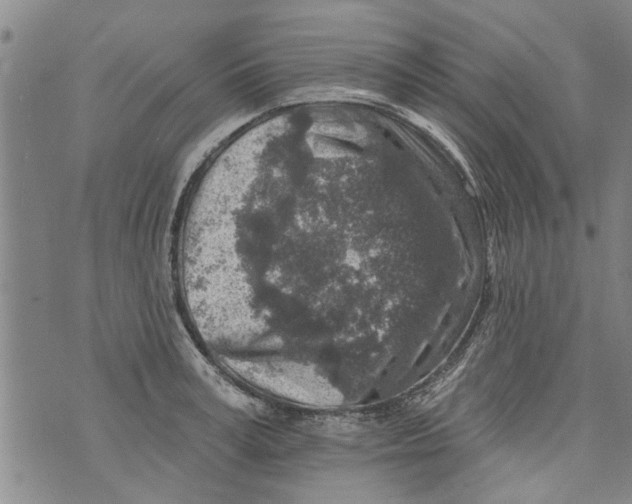 X0000073890995200609082118