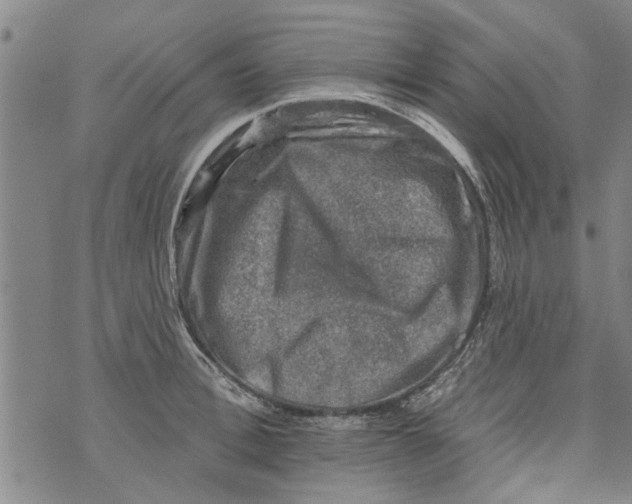 X0000073890996200609082118