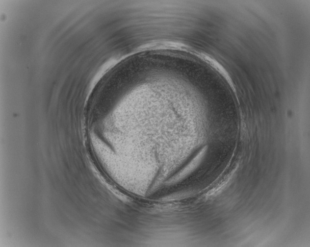 X0000073890997200609082118