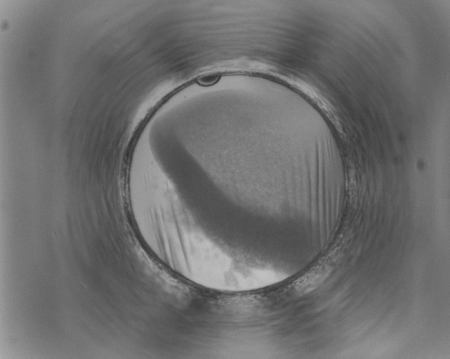 X0000073890998200609082118