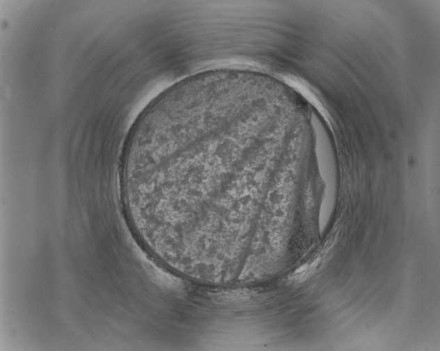 X0000073890999200609082118