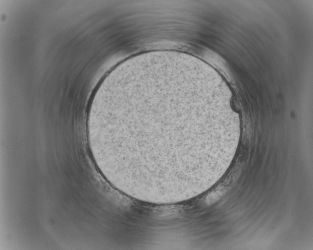 X0000073891000200609082118