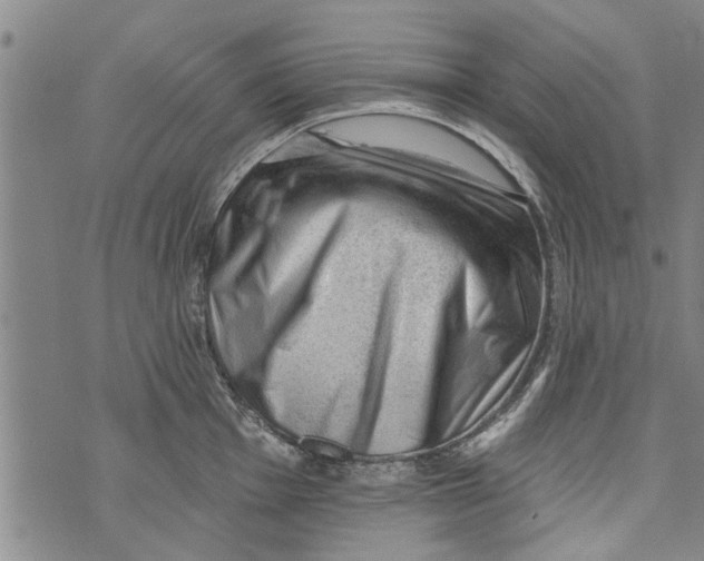 X0000073891001200609082118