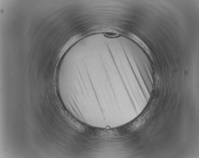 X0000073891002200609082118