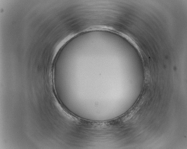 X0000073891003200609082118