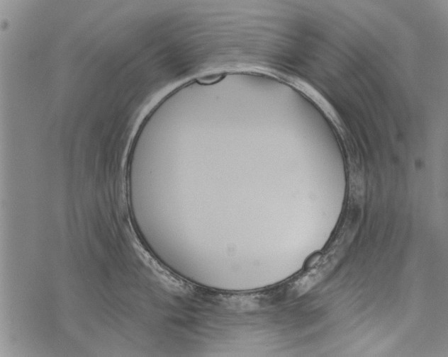 X0000073891004200609082118