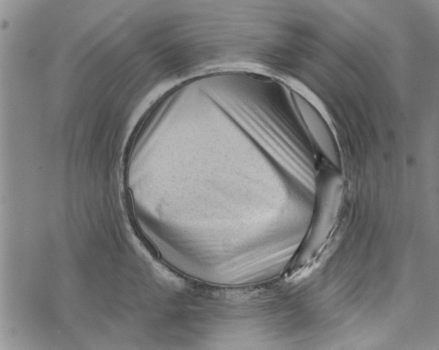 X0000073891005200609082118