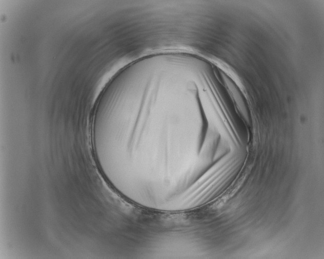 X0000073891006200609082118