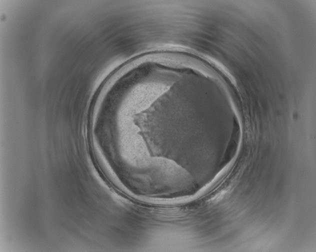 X0000073891007200609082118